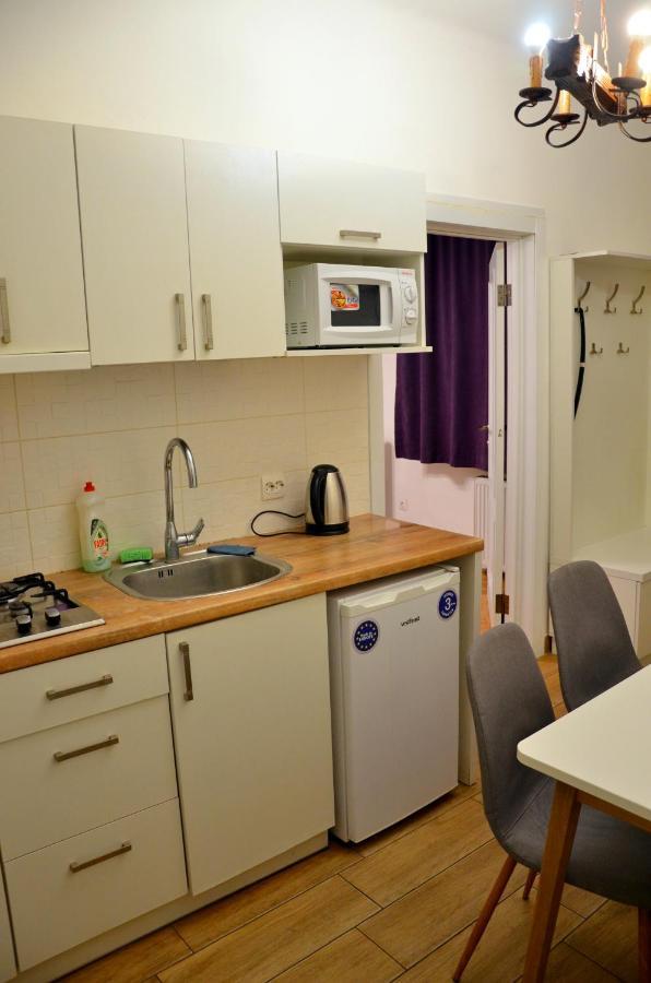 Brand New Apartment In City Center Lemberg Exterior foto